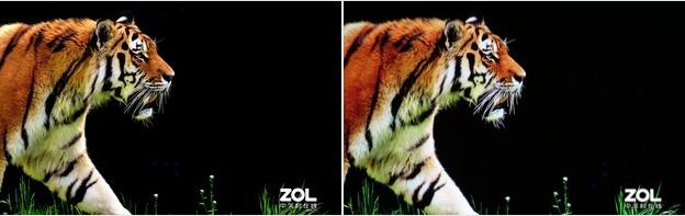 1567665888101351.jpg 9.jpg