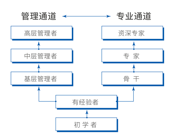 1588057235308052.jpg 3.jpg